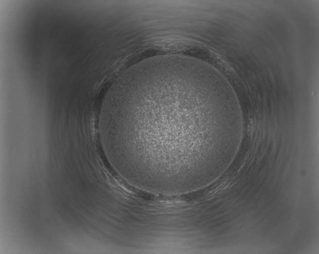 X0000074261108200608251219