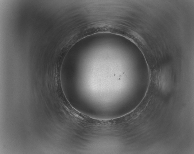 X0000074261111200608251219