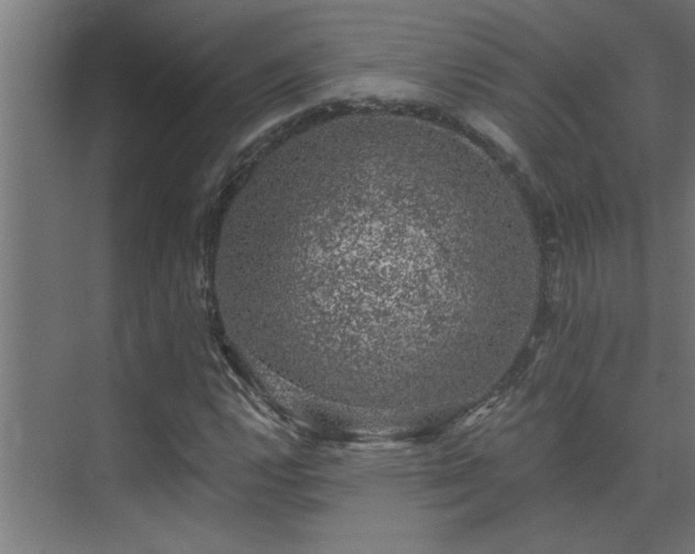 X0000074261112200608251219