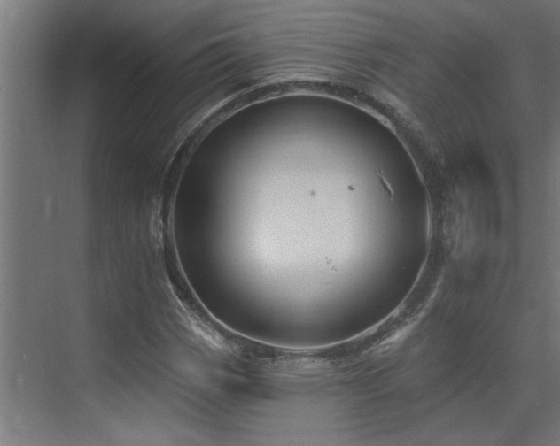 X0000074261113200608251219