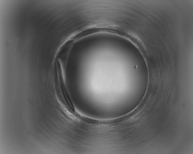 X0000074261114200608251219