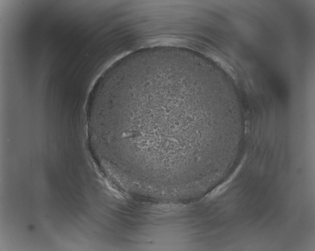 X0000074261117200608251219