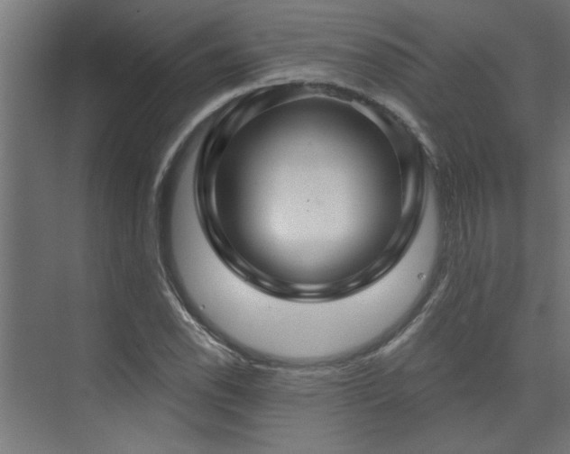 X0000074261118200608251219