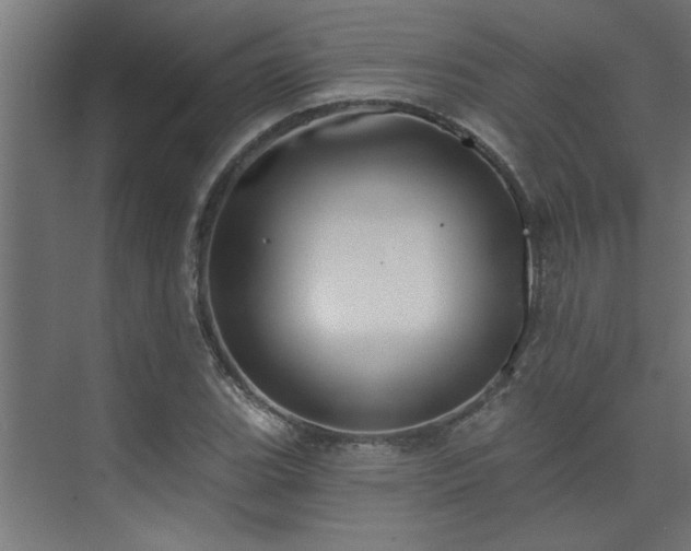 X0000074261119200608251219