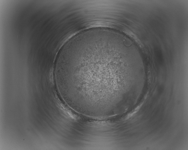 X0000074261121200608251219