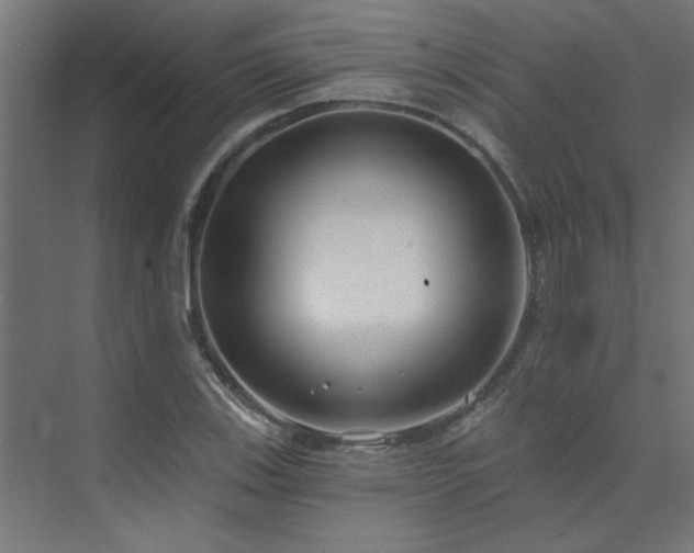 X0000074261123200608251219