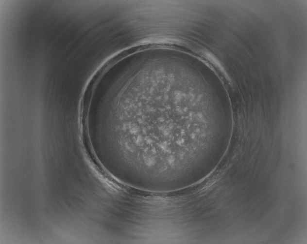 X0000074261124200608251219