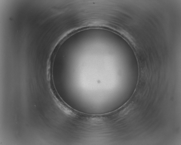 X0000074261126200608251219