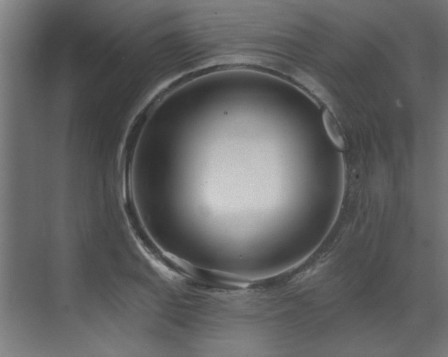 X0000074261127200608251219