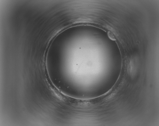 X0000074261129200608251219