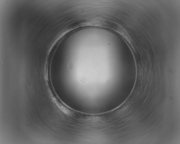 X0000074261131200608251219