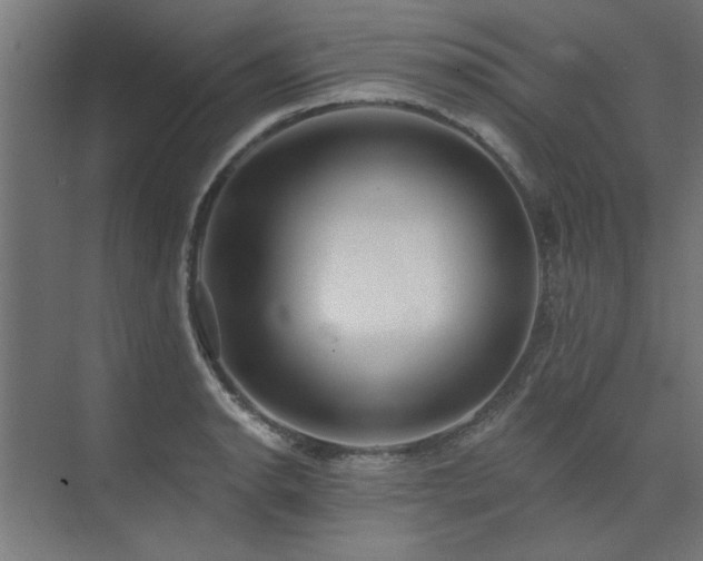 X0000074261134200608251219