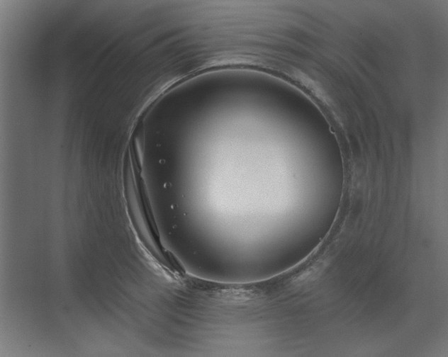 X0000074261137200608251219