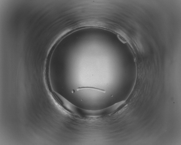 X0000074261139200608251219