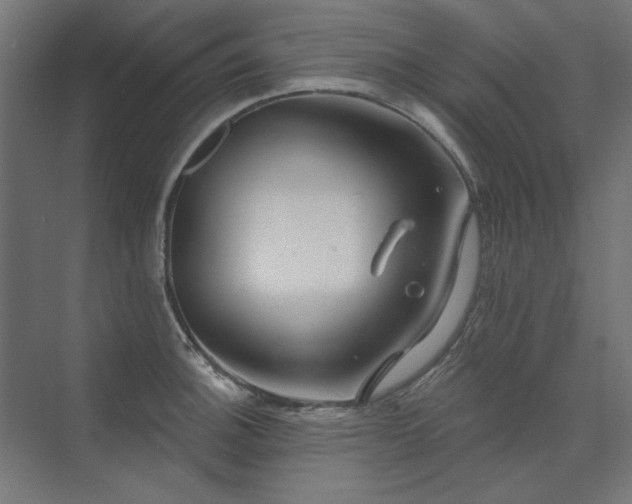 X0000074261140200608251219