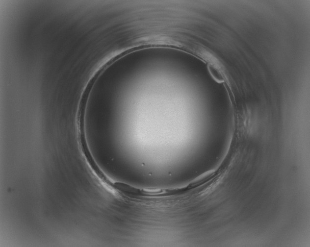 X0000074261141200608251219