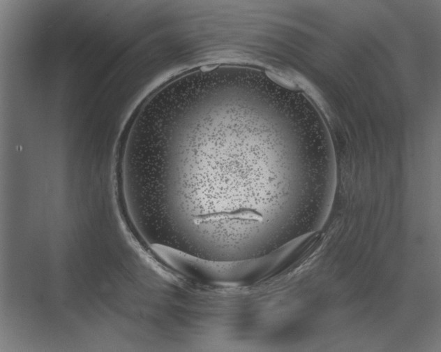 X0000074261142200608251219