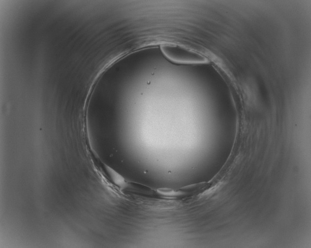 X0000074261145200608251219