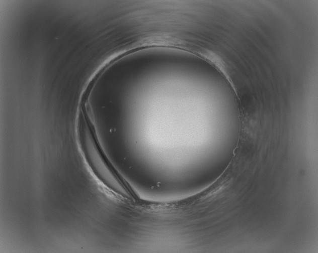 X0000074261147200608251219