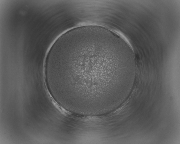 X0000074261148200608251219