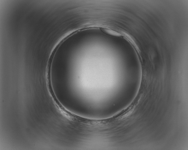 X0000074261149200608251219