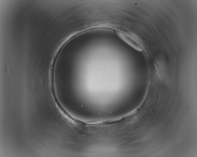 X0000074261151200608251219