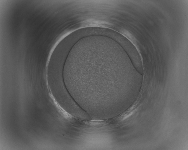 X0000074261152200608251219