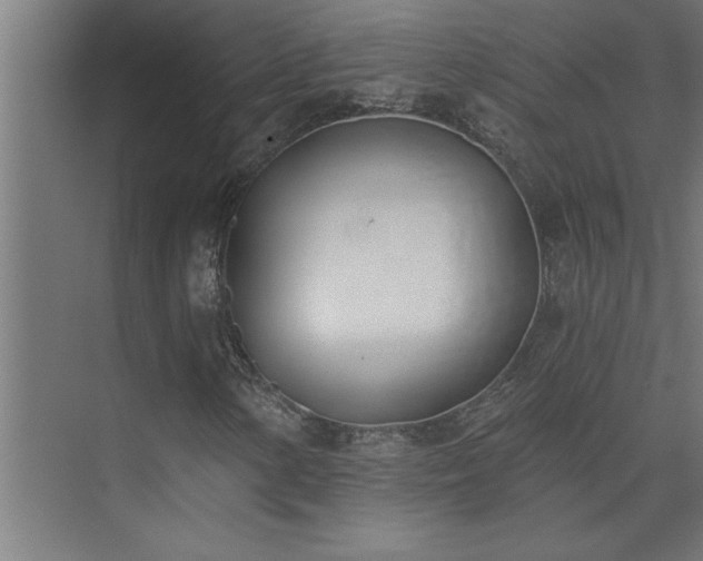 X0000074261154200608251219