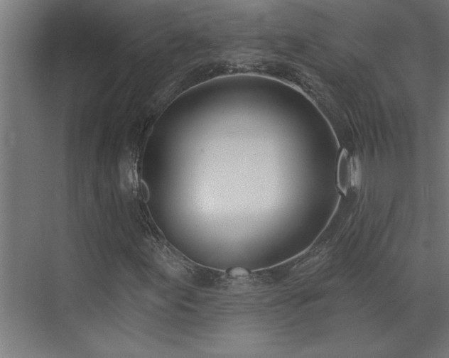 X0000074261155200608251219