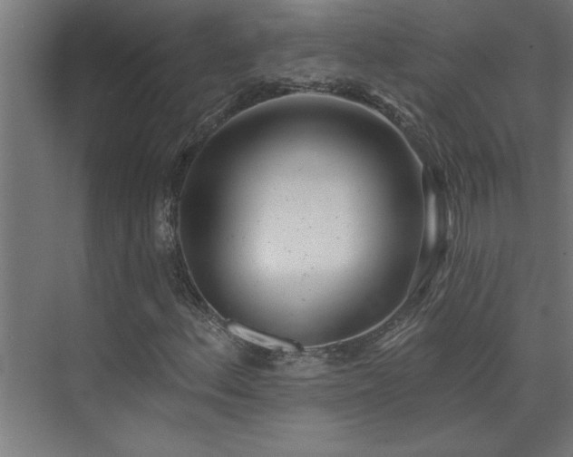 X0000074261156200608251219