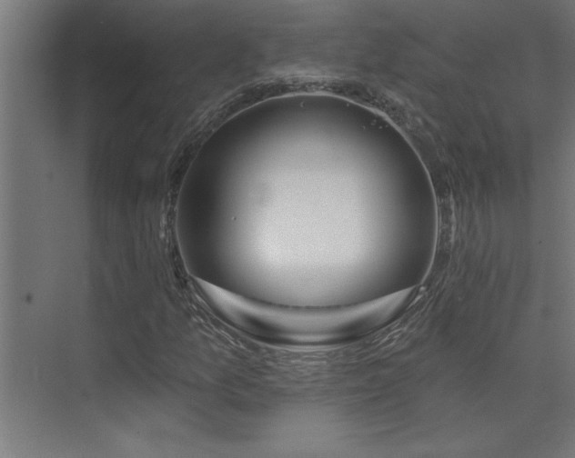 X0000074261157200608251218