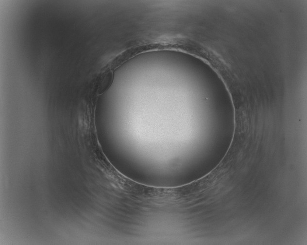 X0000074261158200608251218