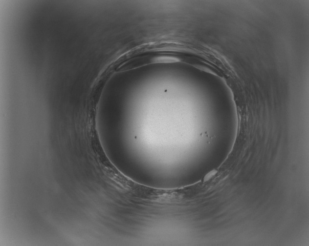 X0000074261160200608251218