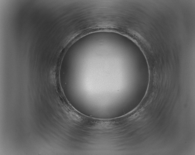 X0000074261162200608251218