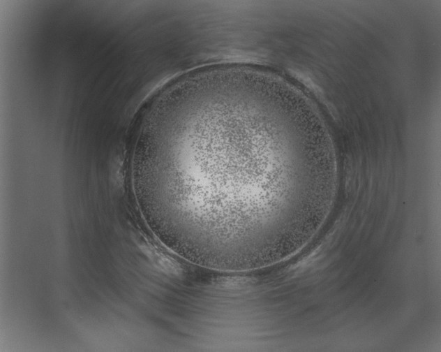 X0000074261163200608251218