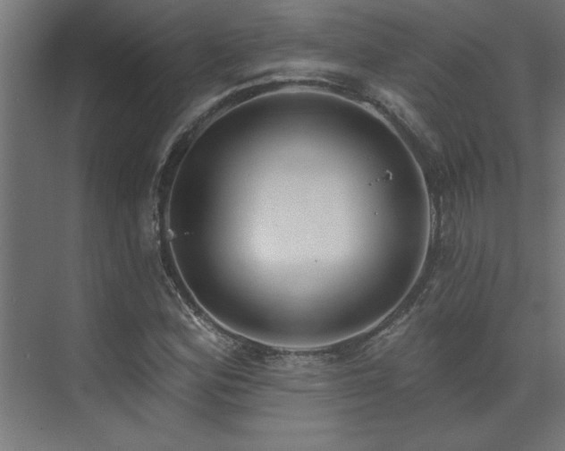 X0000074261164200608251218