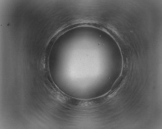 X0000074261165200608251218