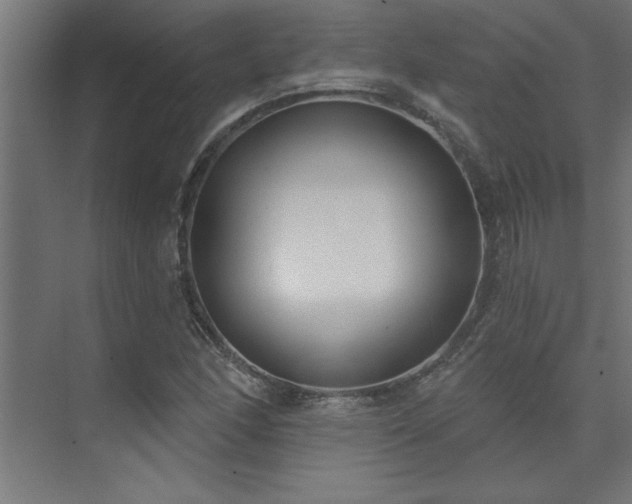 X0000074261166200608251218