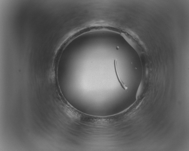 X0000074261167200608251218