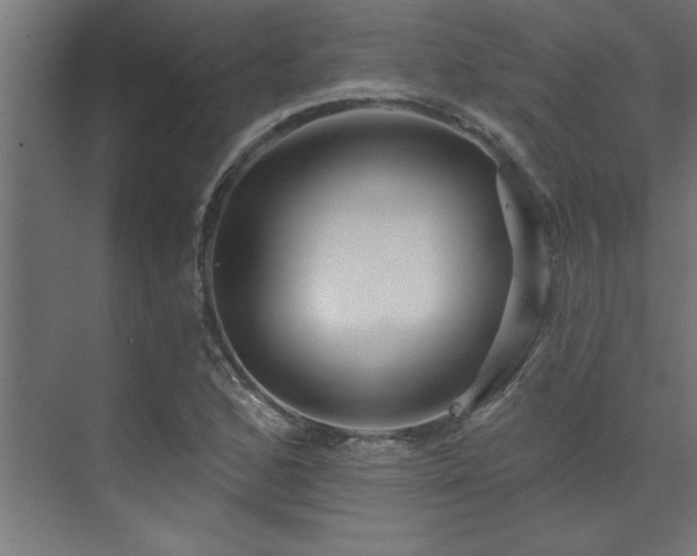 X0000074261168200608251218