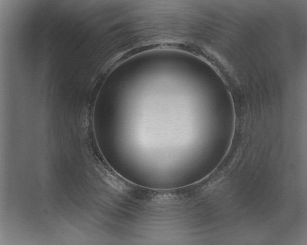 X0000074261169200608251218