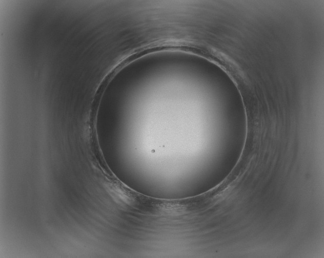 X0000074261170200608251218