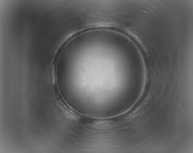 X0000074261171200608251218