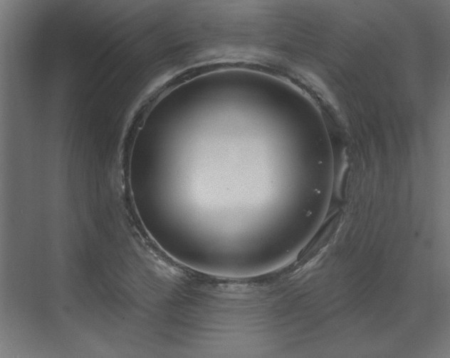 X0000074261172200608251218