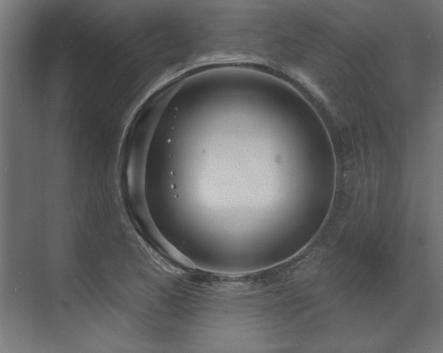 X0000074261173200608251218