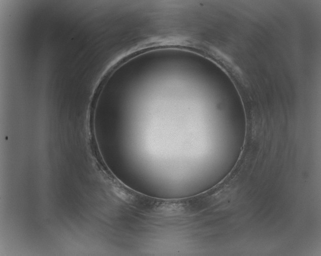 X0000074261174200608251218