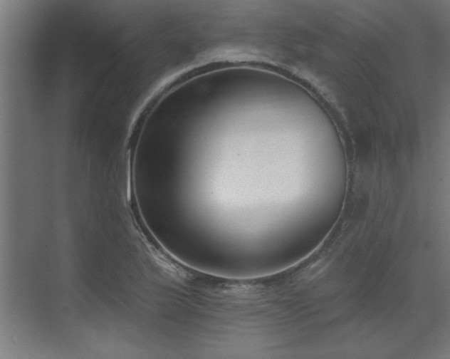 X0000074261175200608251218