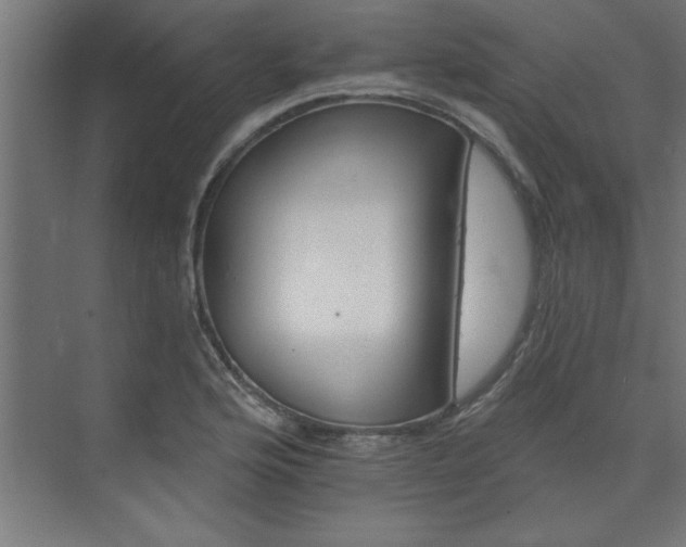 X0000074261176200608251218