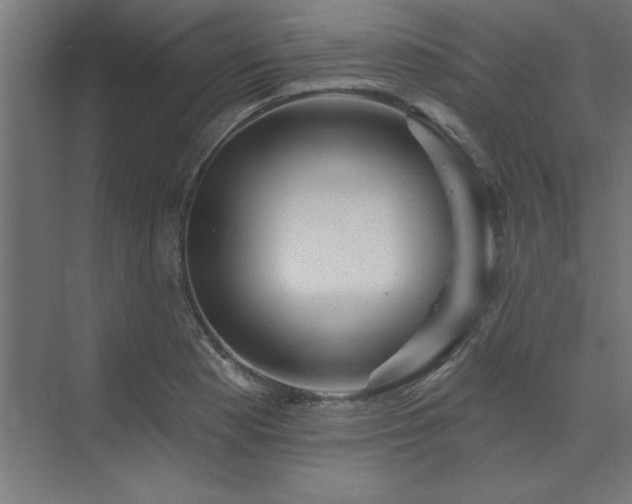 X0000074261177200608251218