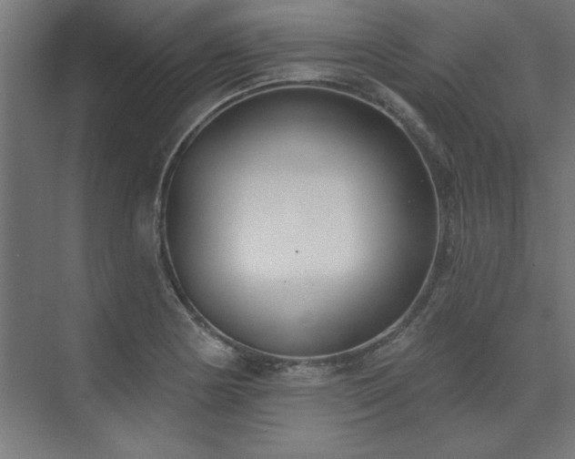 X0000074261178200608251218